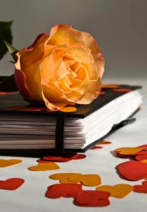 bookof-love