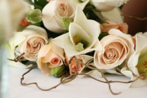 pink-and-white-roses